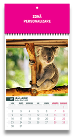 calendar-perete